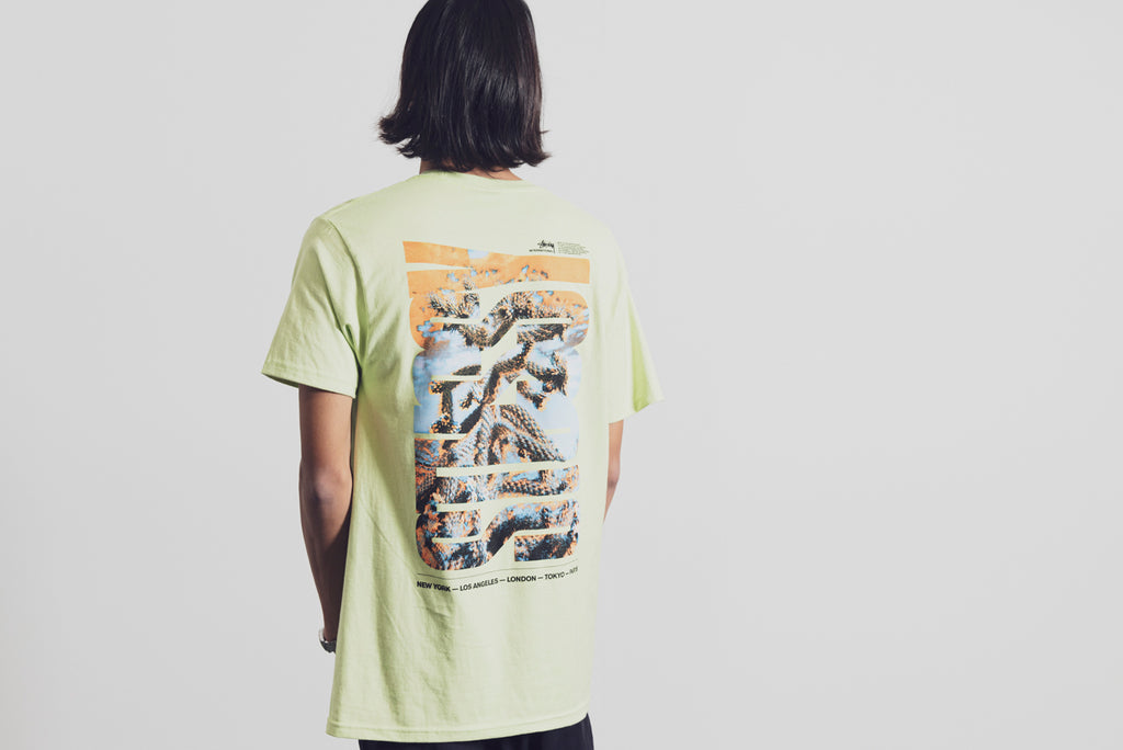 Stussy Desert Sky Tee tea